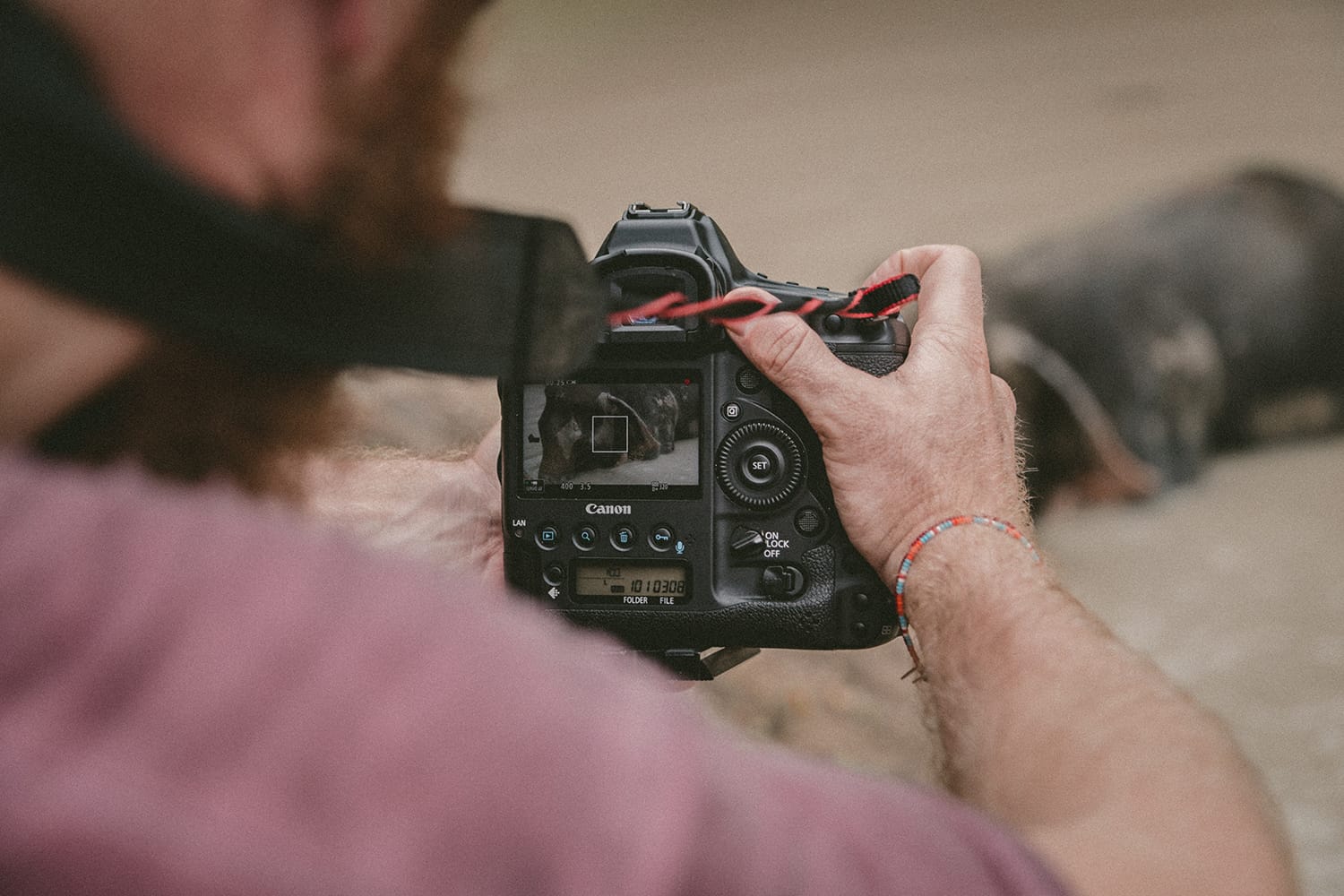 6 Common Mistakes Even Professional Photographers Make