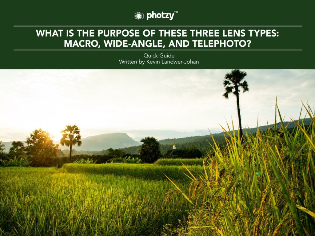 Lens Visual Examples 4 Beginner’s Guides to Different Types of Lenses | Contrastly | Contrastly