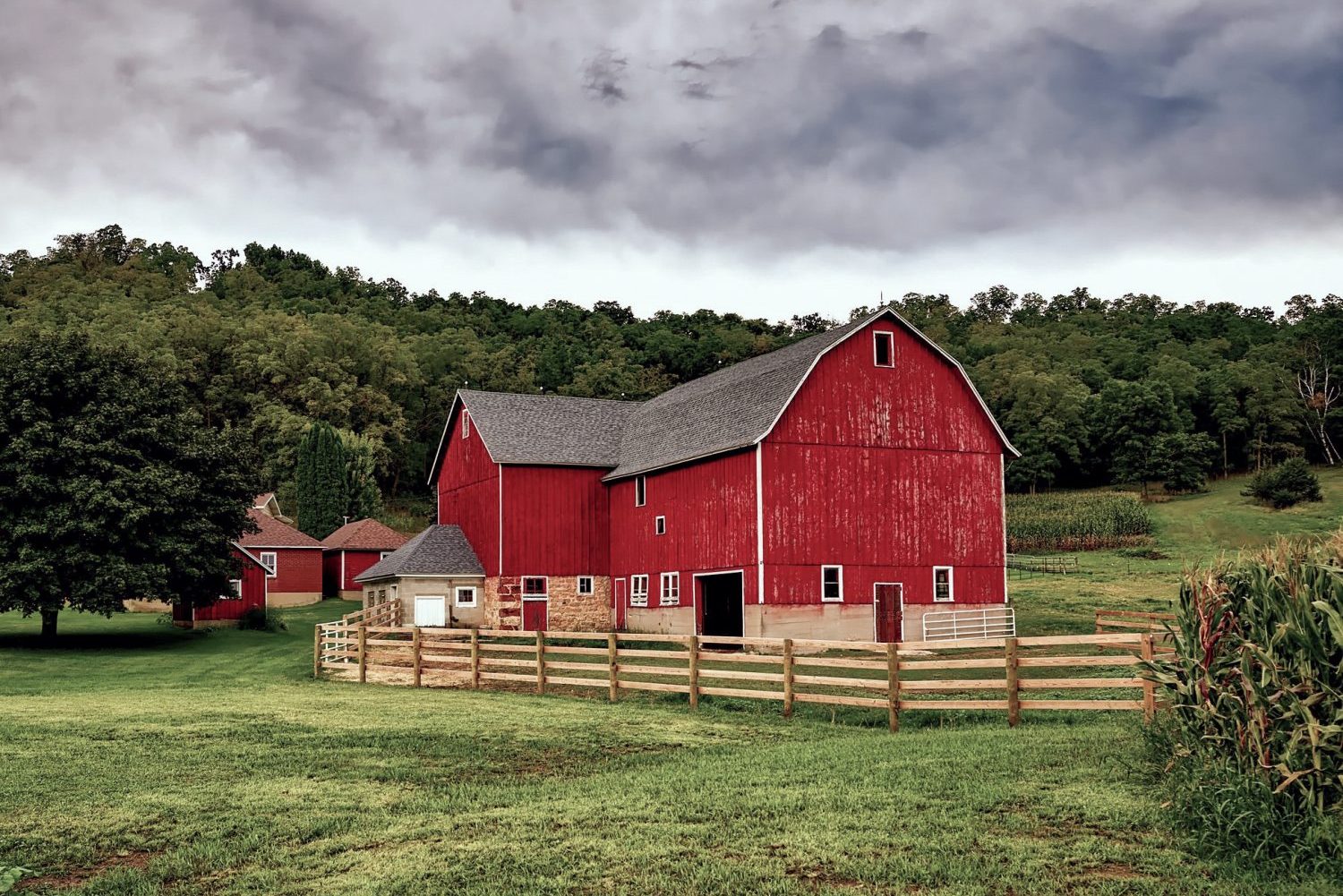 Five Ways to Breathe New Life into Your Photography