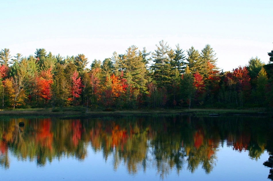 Autumn reflection