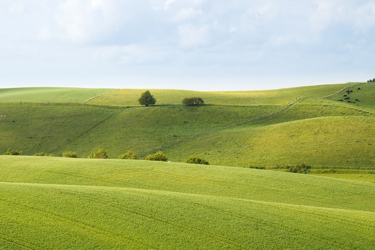 Landscape by Stig Nygaard