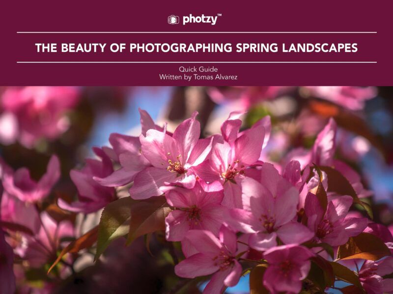 2. The Beauty of Photographing Spring Landscapes