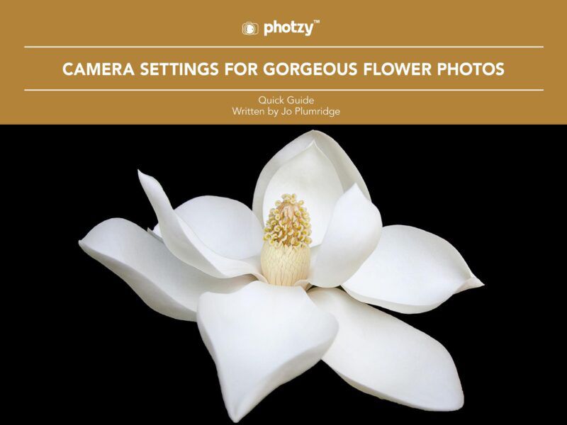 1. Camera Settings for Gorgeous Flower Photos