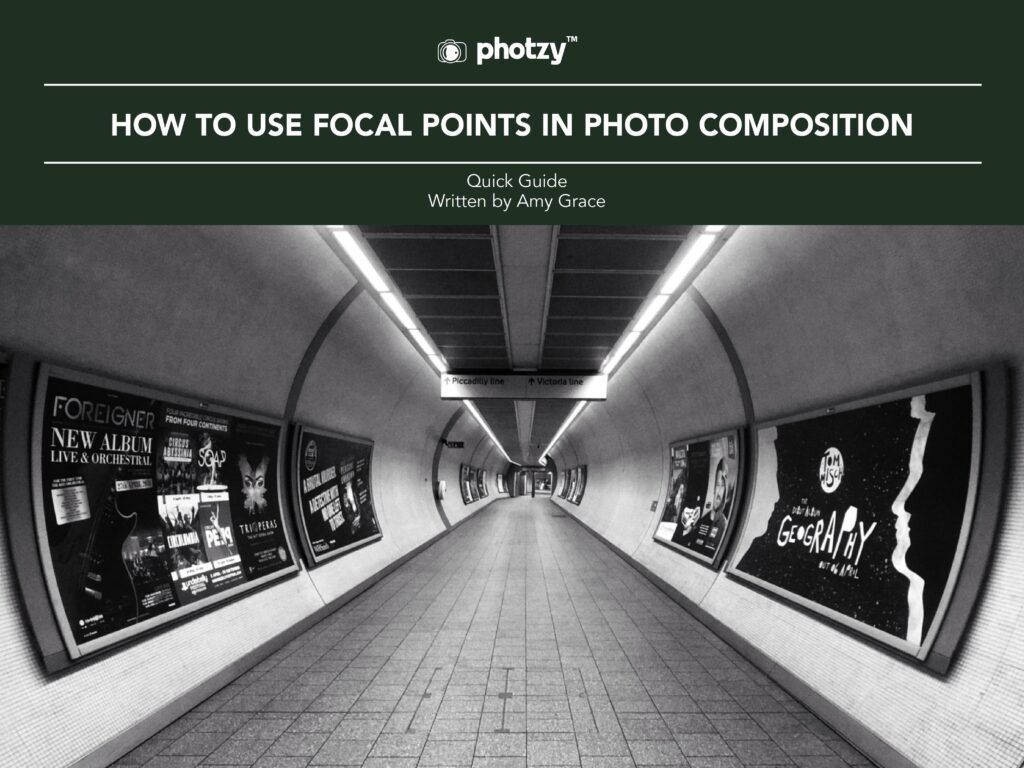 Focal Point Add 3 Free Guides on Crafting Eye Catching Photos Using Focal Points ...