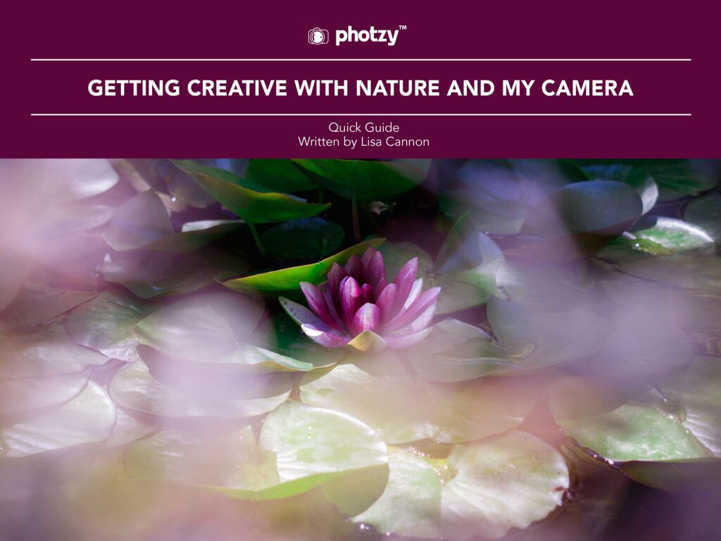 4. Getting Creative with Nature and My Camera