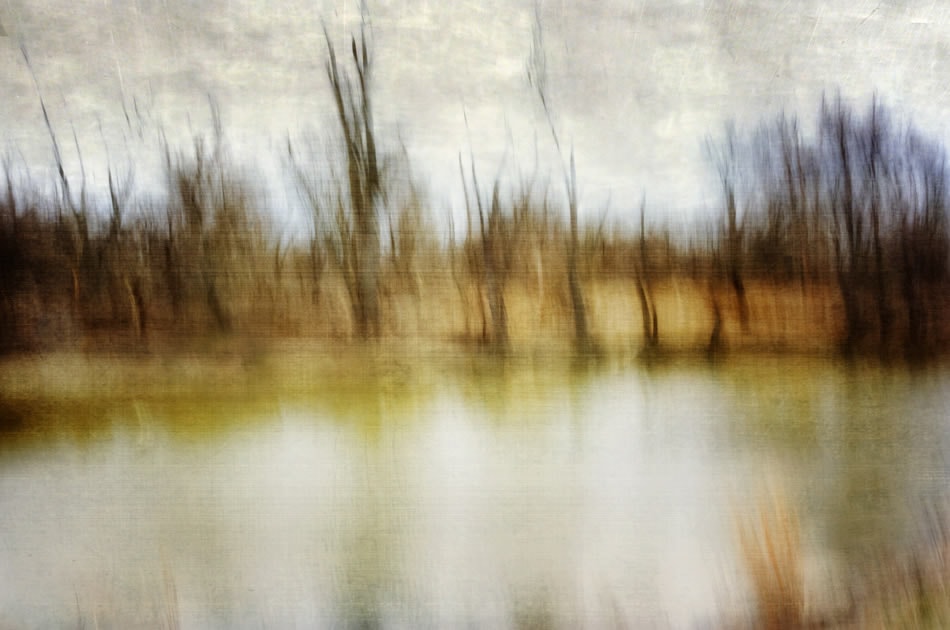 Maumee River Shoreline