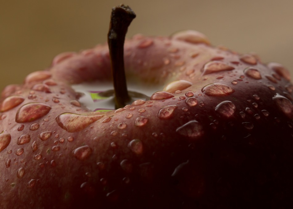 Reverse Ring or Extension tubes