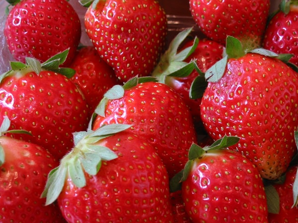 Strawberries Photo