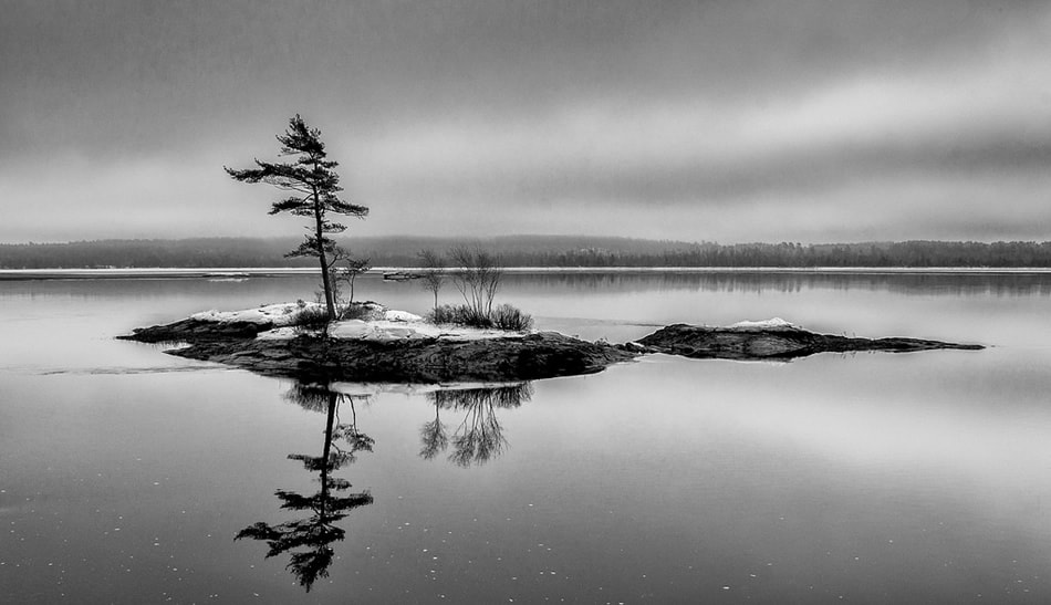 black and white nature photography with color accents