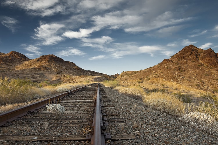 Landscape by Dan Eckert