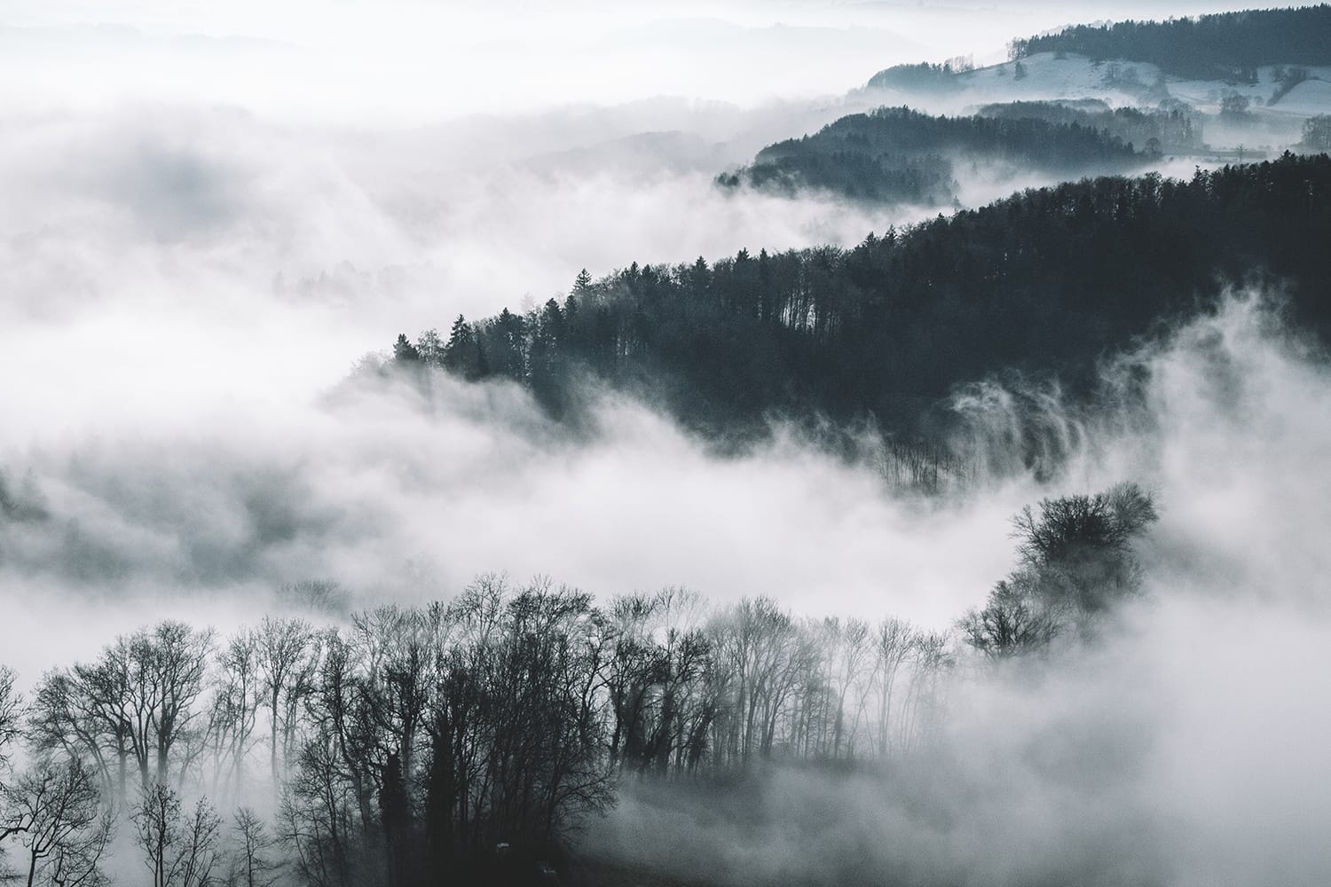 Capturing Amazing Photos of Mist and Fog