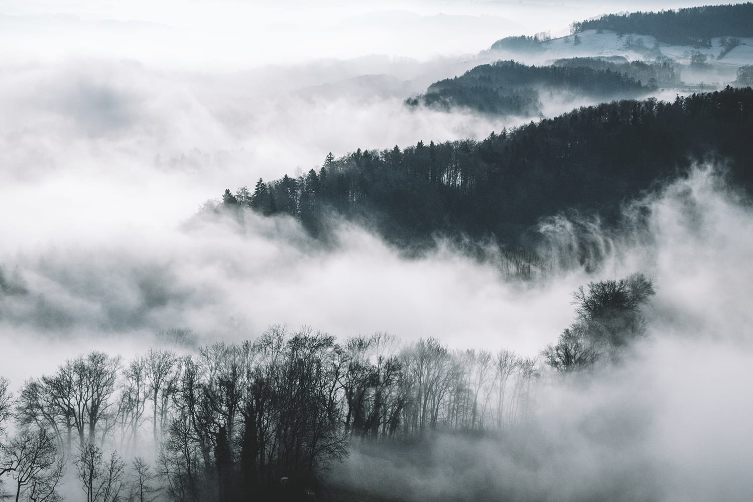 How to Capture Breathtaking Photos of Mist and Fog | Contrastly