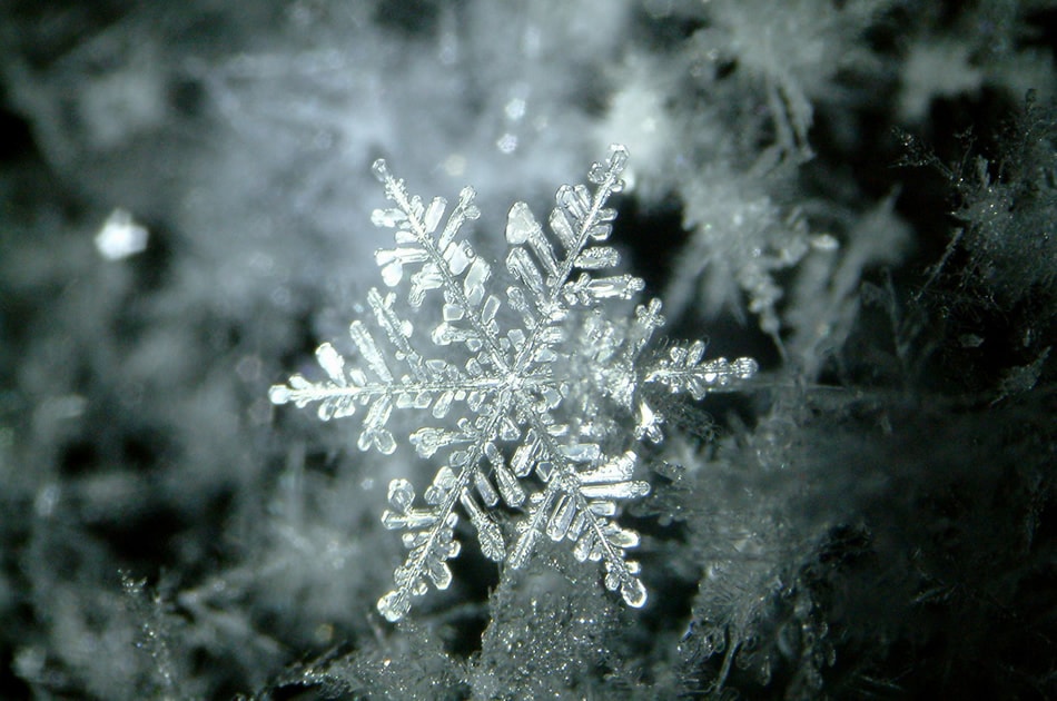 Snowflake-029