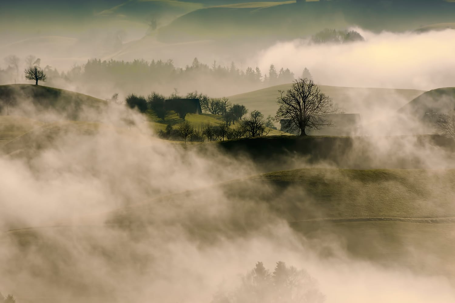 Capturing Amazing Photos of Mist and Fog