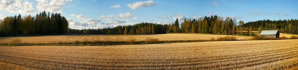 Panoramic Landscape 2