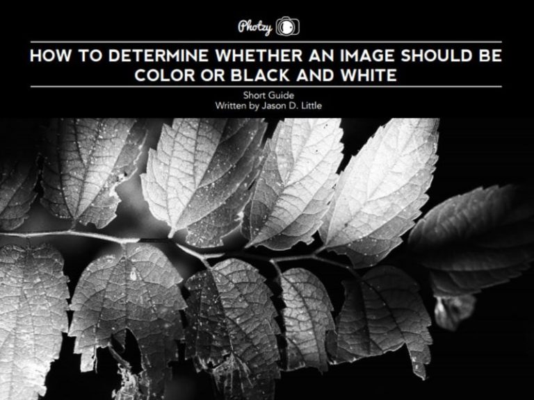 Exploring the Power of Black and White Photos with these 4 Free Guides ...
