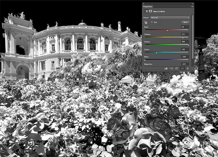 Easily Simulate Infrared Effect in Photoshop in 7 Quick Steps