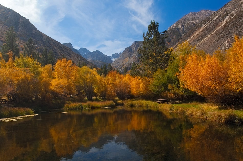 Vibrant Autumn Leaves Reflecting on Calm Waters