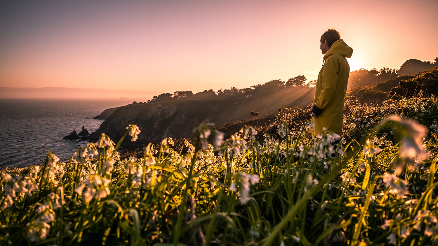 Howth Cliff path - Dublin, Ireland - Travel photography