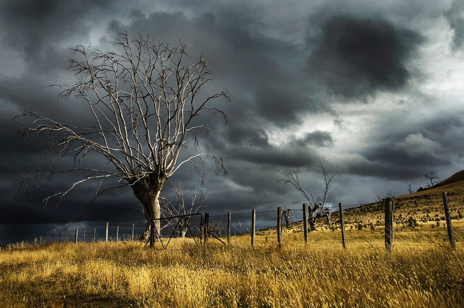 How to Be Successful with Outdoor Photography in Bad Weather