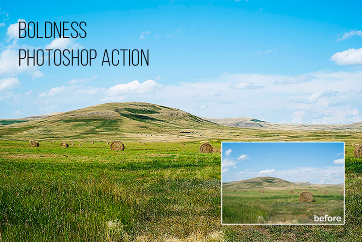 Boldness Action