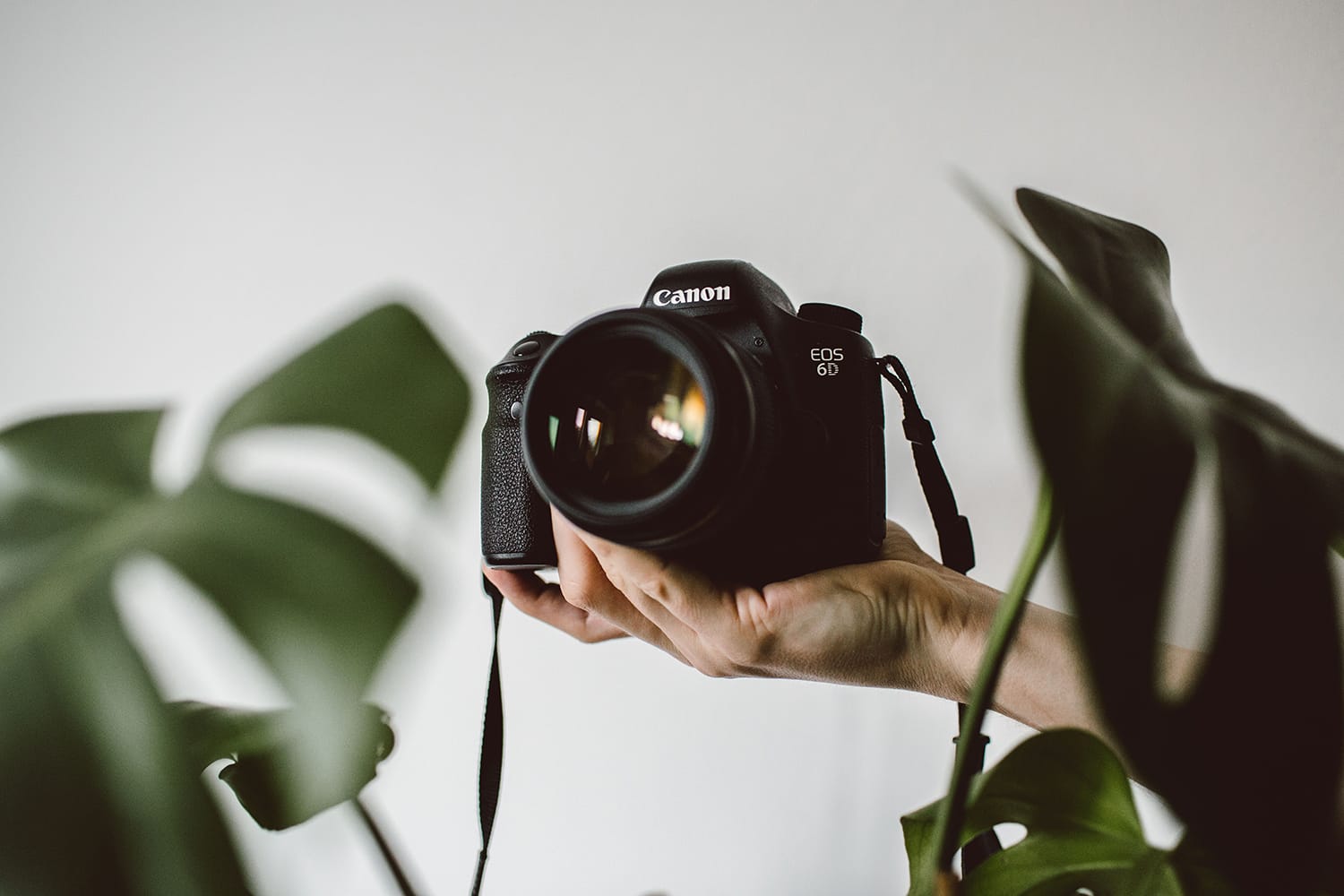 8 Things to Keep In Mind When Setting up Your Brand New Camera