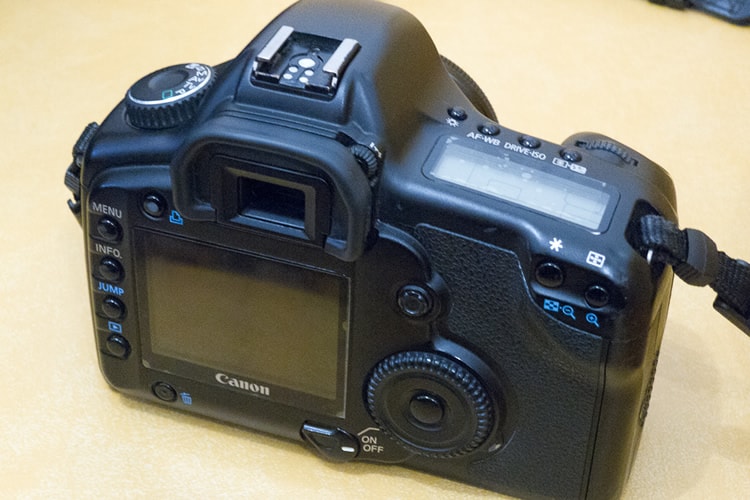 Canon 5D MKI - back
