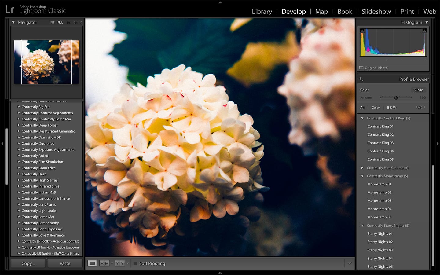 where does adobe keep the luts for lightroom