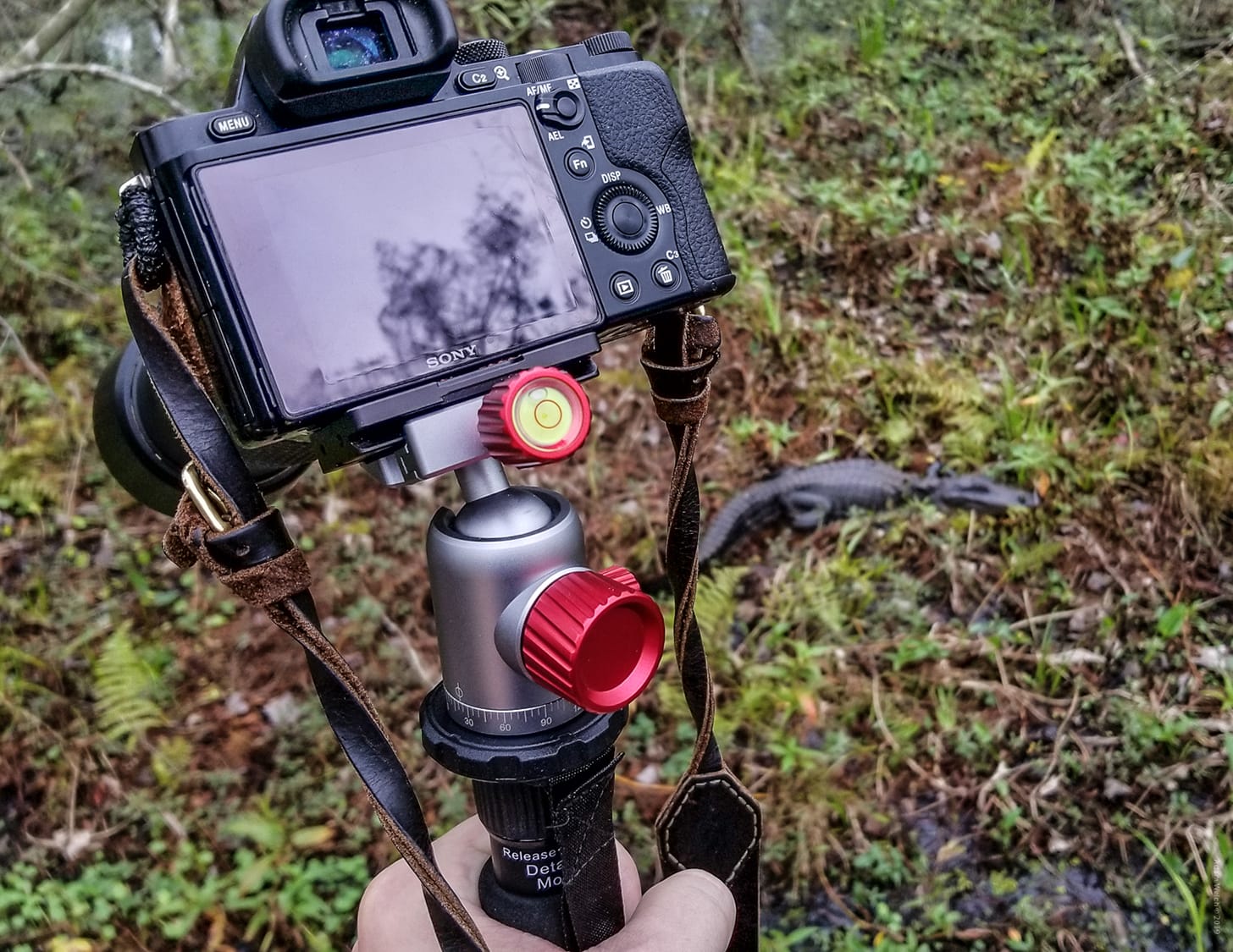 Hands-On Review of the Highline Mini Ballhead from Colorado Tripod Company