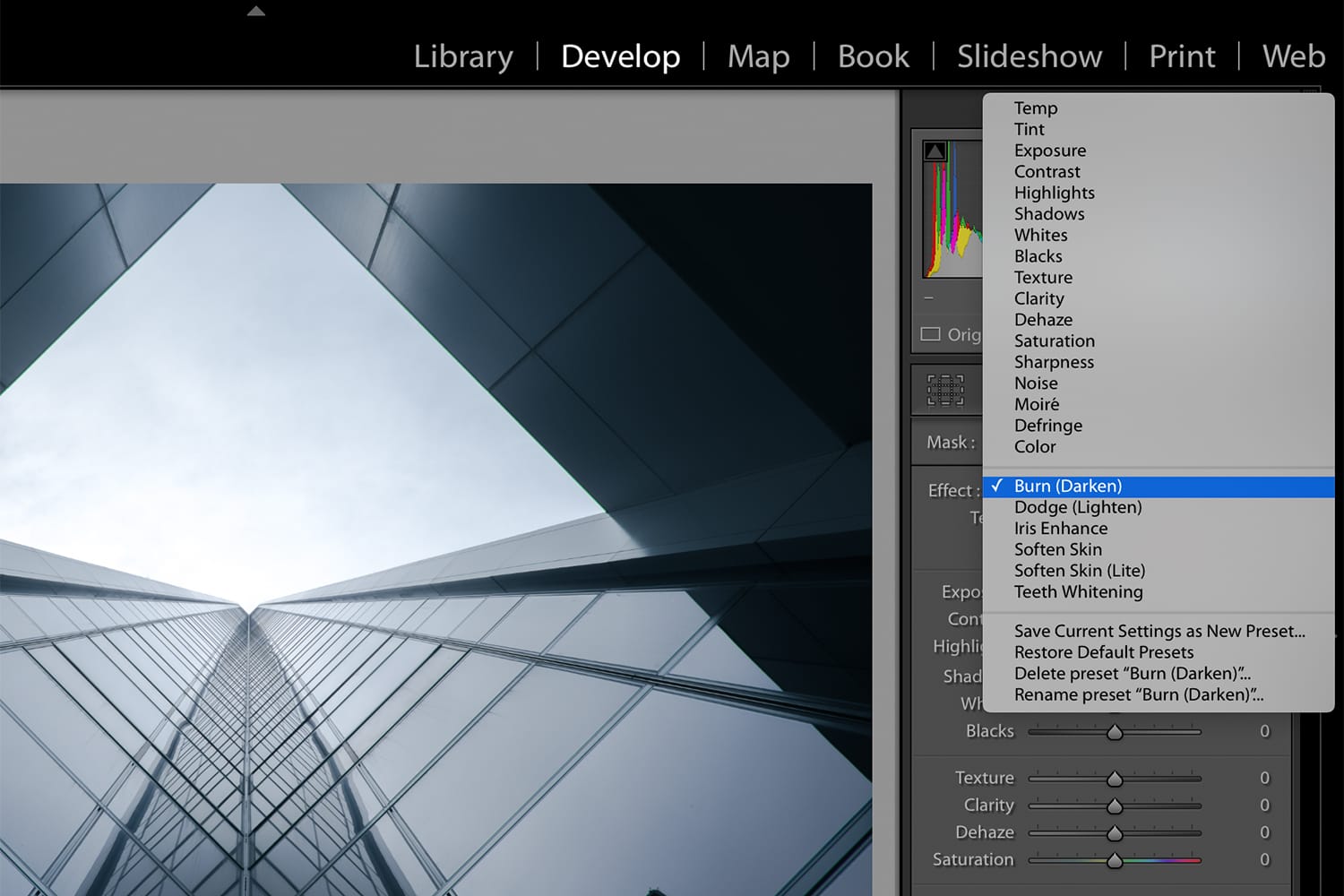 Screenshot of Lightroom Develop Module.