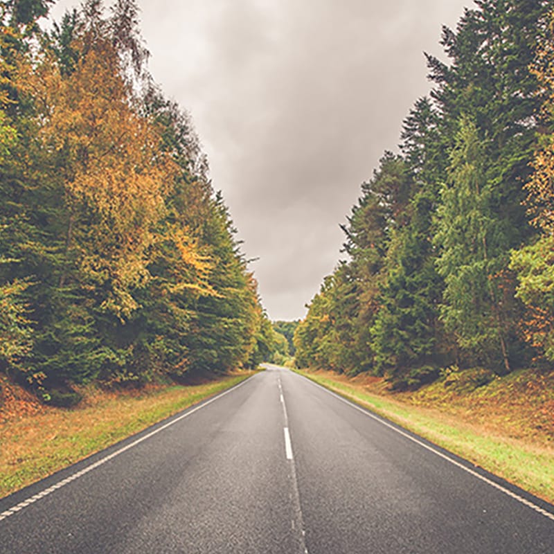 Autumn Road