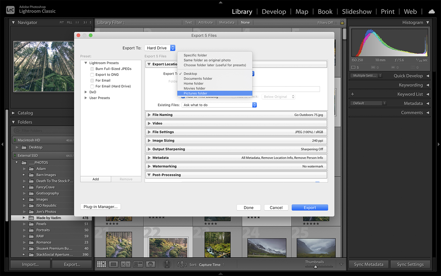 Everything You Need to Know About Exporting Images from Lightroom Classic