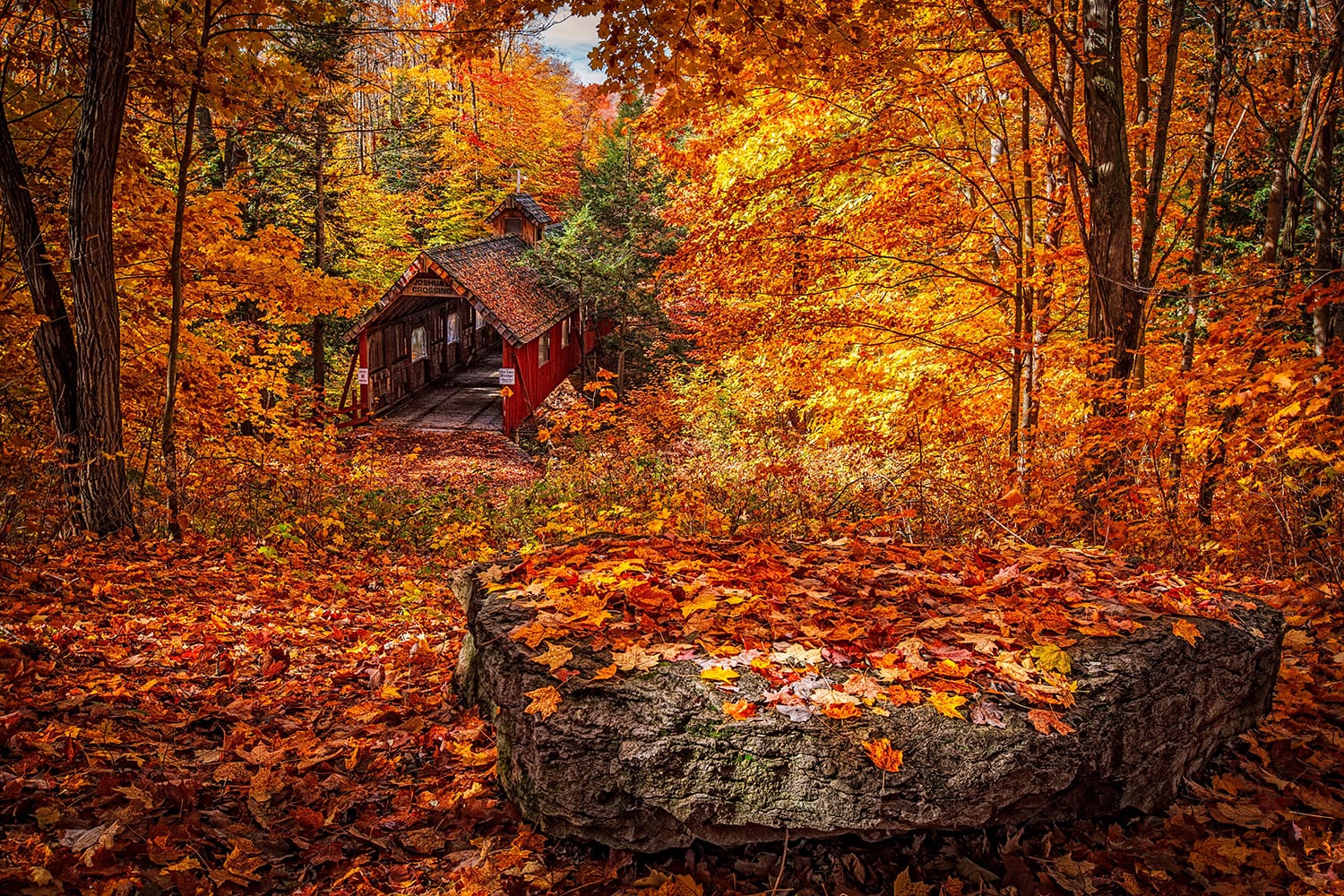 5 Must-Know Tips For Fall Photography Shooting