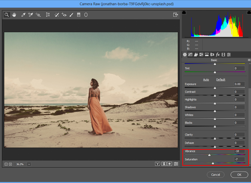 How to Transform an Image and Create a Vintage Look — Photoshop Tutorial