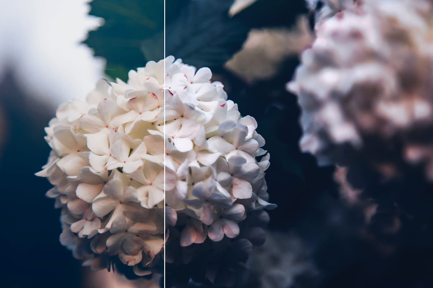 What Are LUTs and How Do You Use Them in Photography?