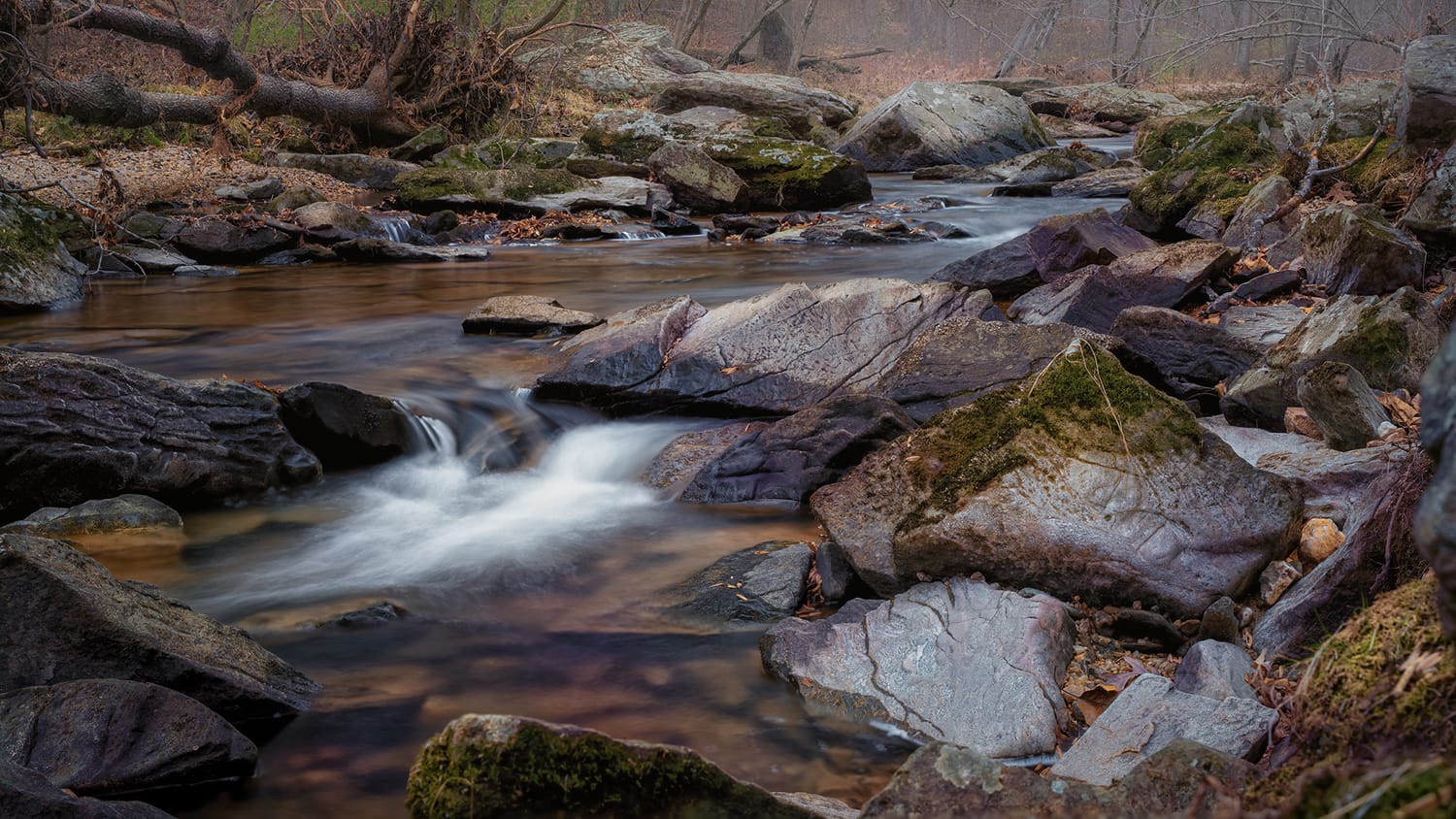 How to Use Focus Stacking for Super Sharp Pictures