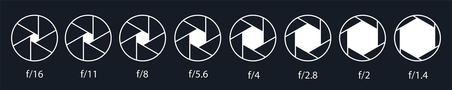 The Ultimate Guide to Aperture for Enthusiast Photographers