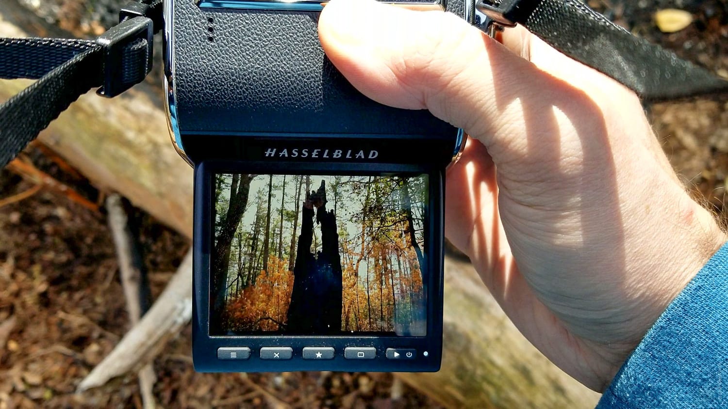 In-Depth Review of the Hasselblad 907X 50C Medium Format Mirrorless Camera