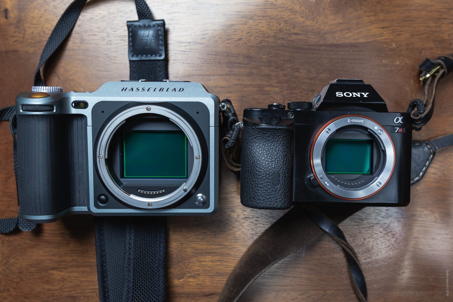 Hands On Review Of The Hasselblad X1d 50c Medium Format Mirrorless 4644