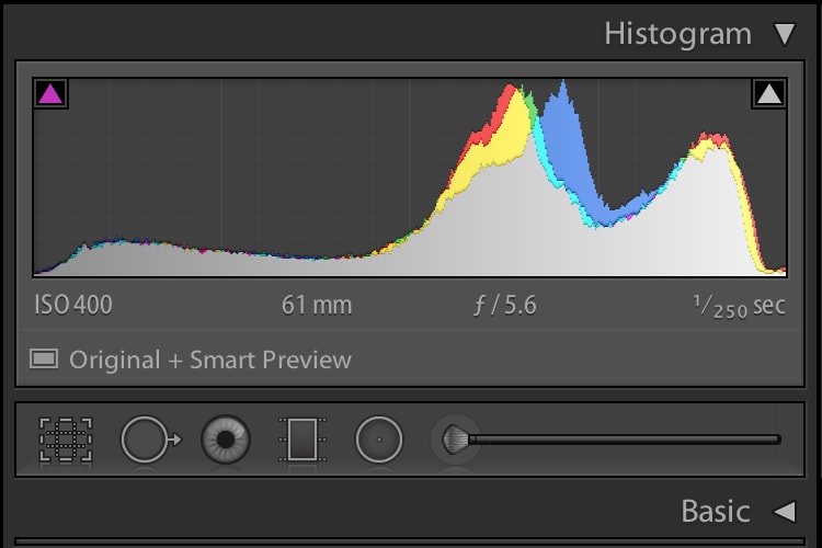 Histogram