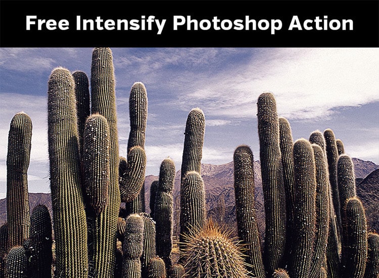 Intensify Photoshop Action