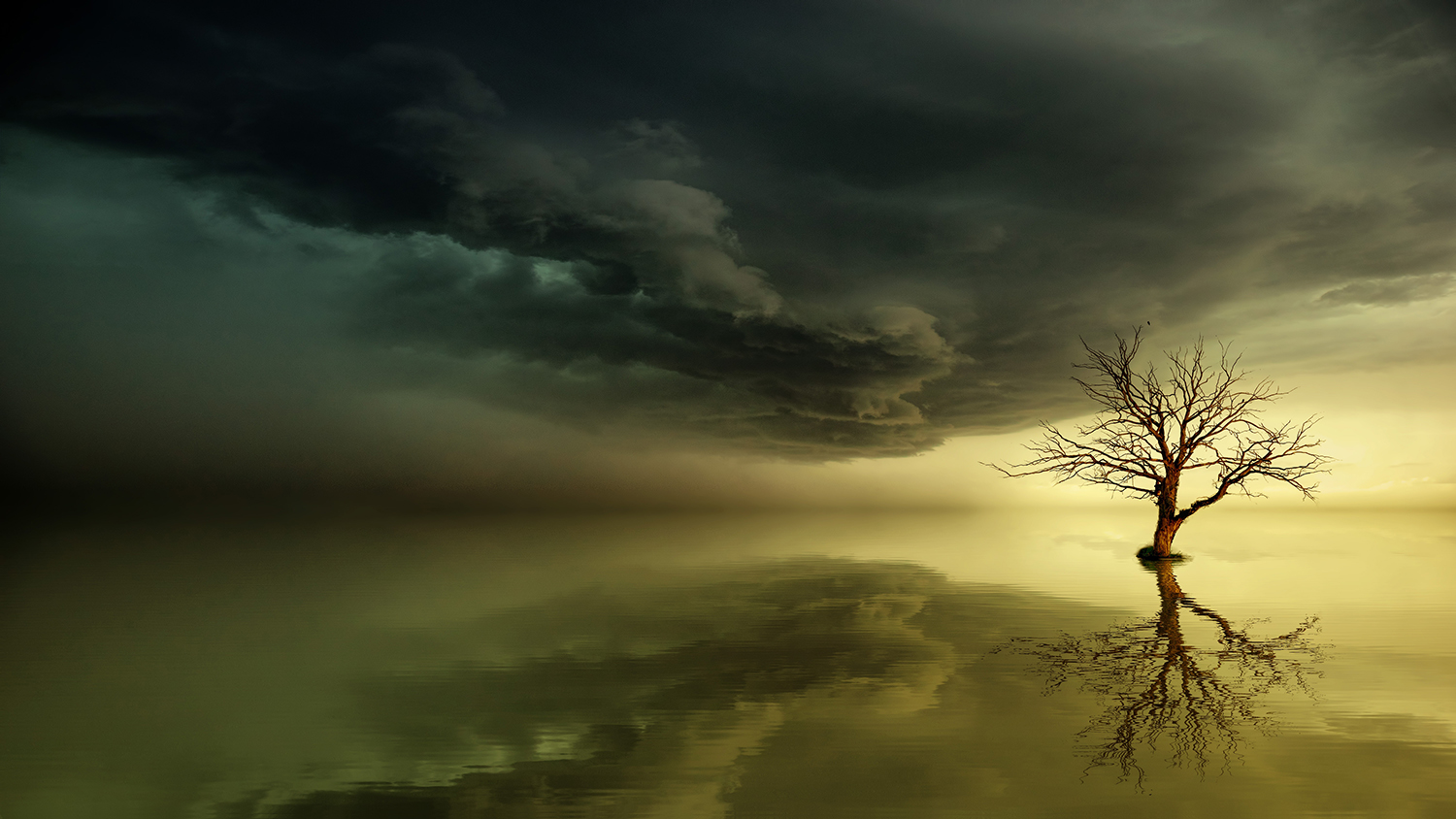 An Introduction Guide To Fine Art Photography Contrastly Contrastly