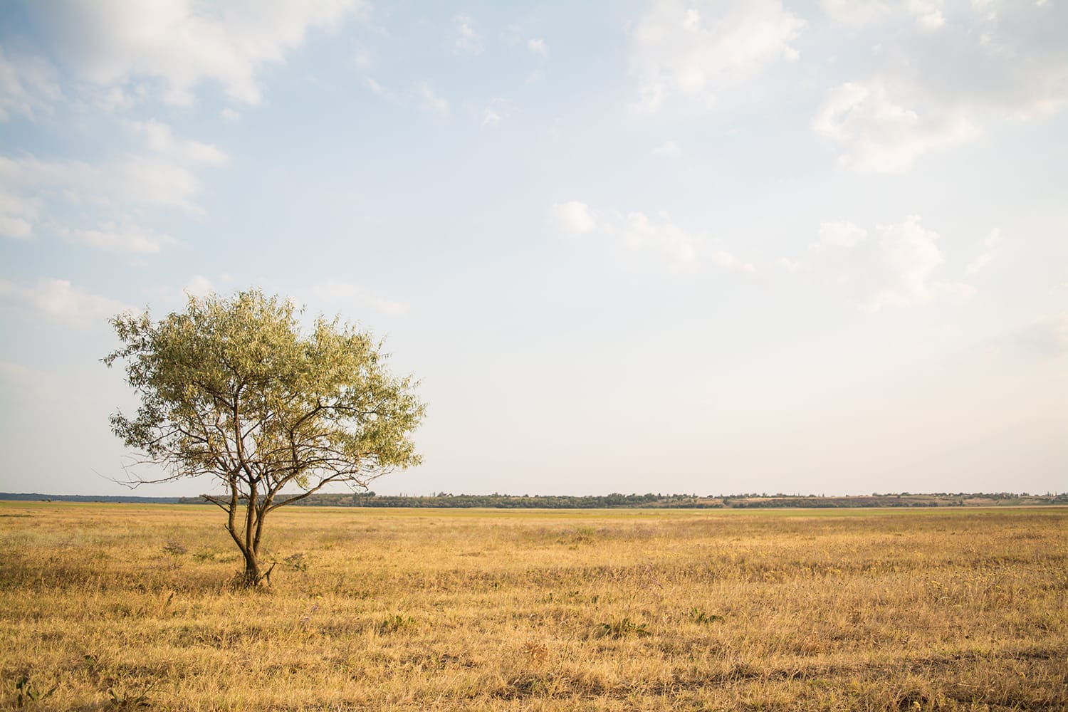 How to Masterfully Compose Landscape Images