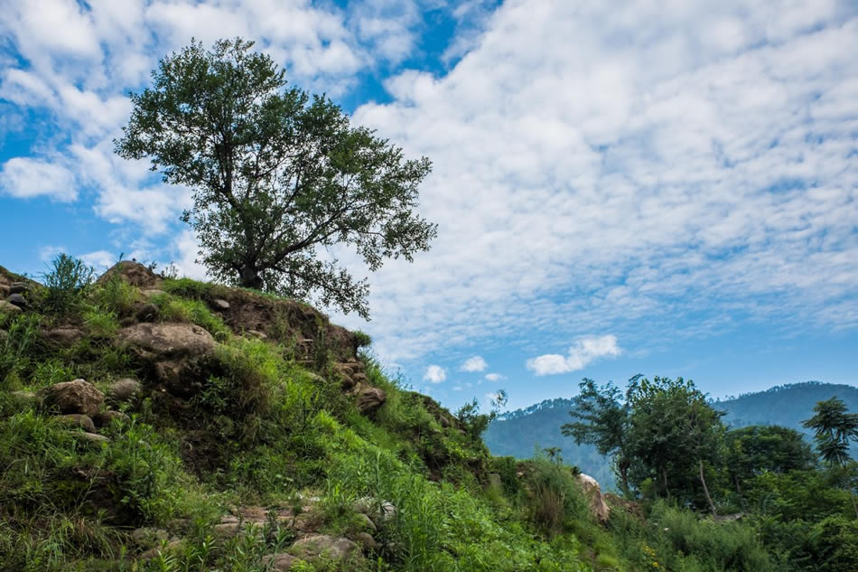 Tarna Village shot while hiking