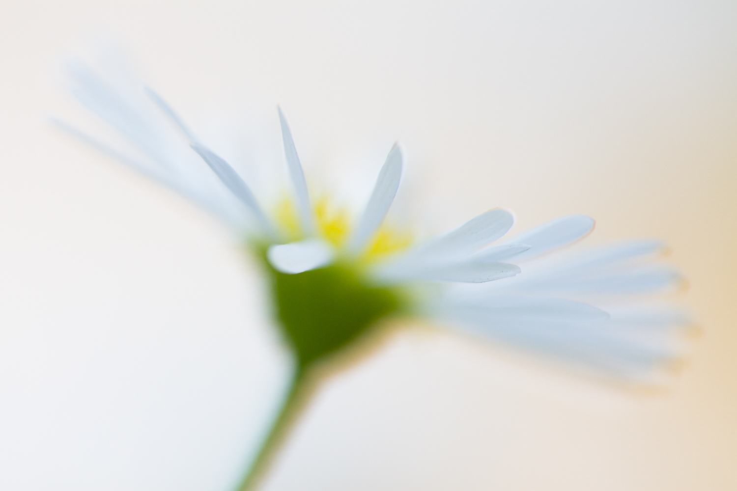 aster abstract