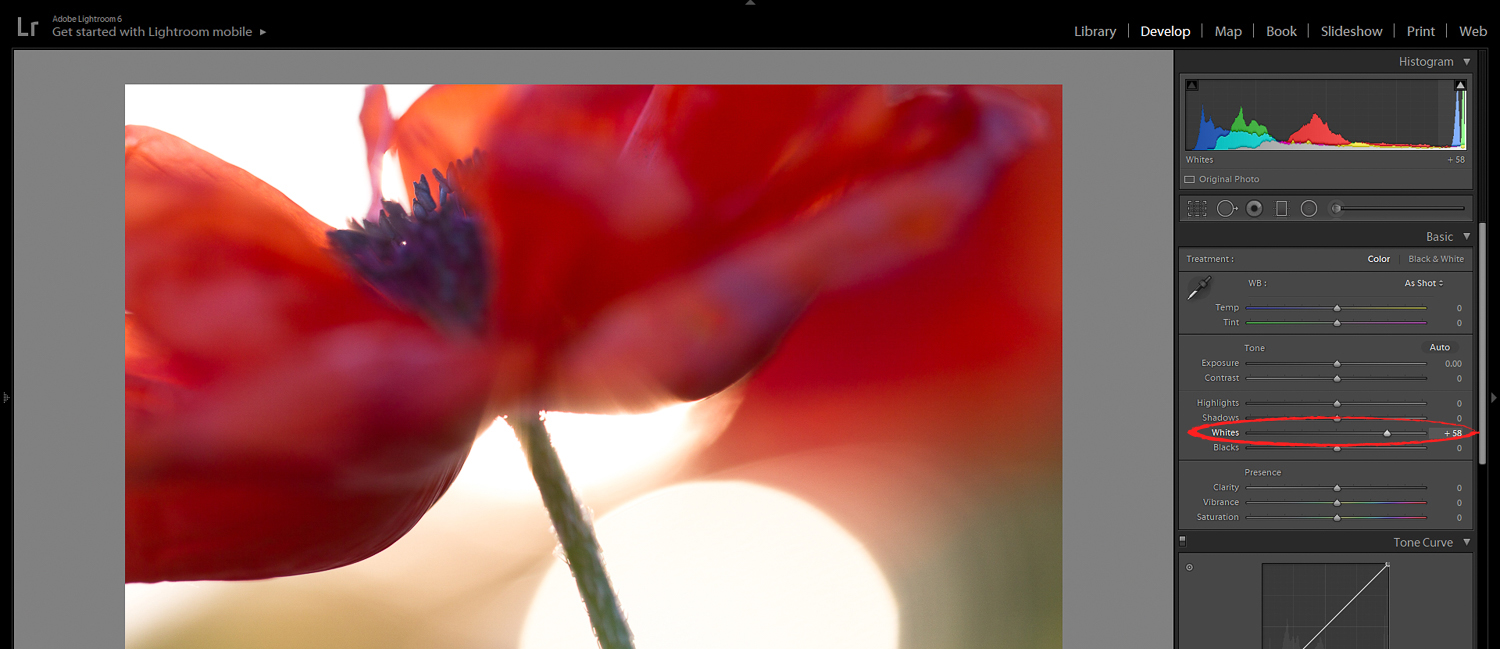 lightroom photo editing with dark paneling