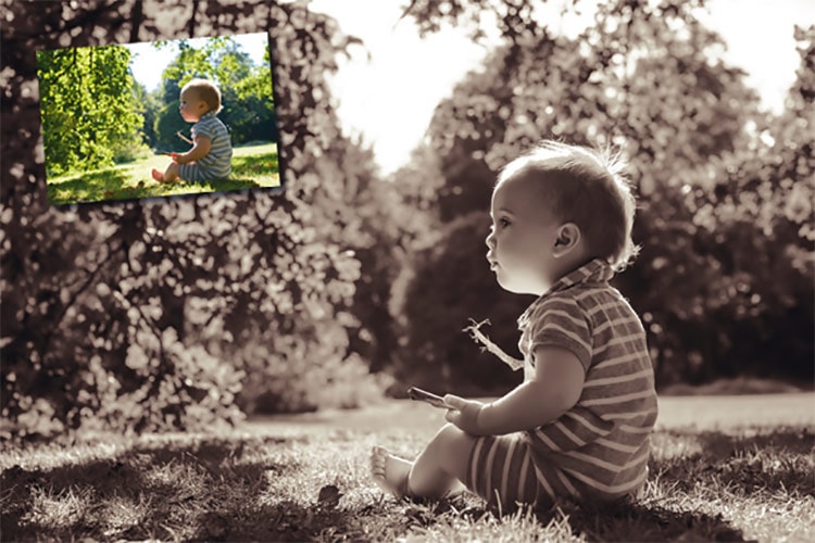 How to Take More Control Over Black and White Conversions