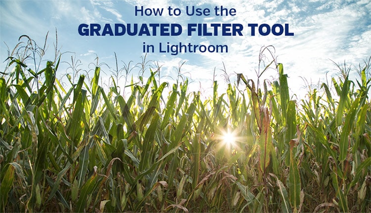 How to Use the Graduated Filter Tool in Lightroom