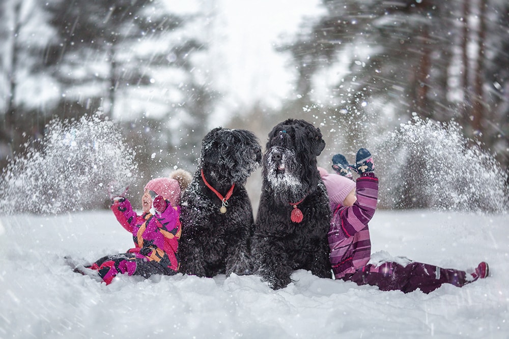 Little Kids and Their Big Dogs: Interview with Andy Seliverstoff
