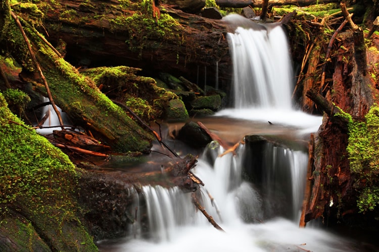 Spring Runoff